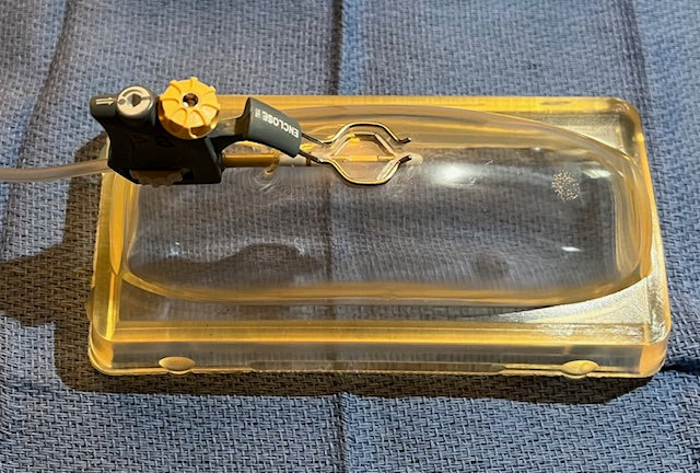 Large Clear Aorta Model