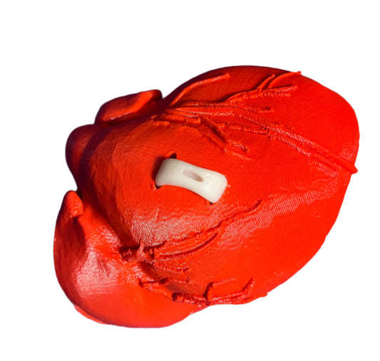 Model Heart for Anastomotic Training SKU HAM21021